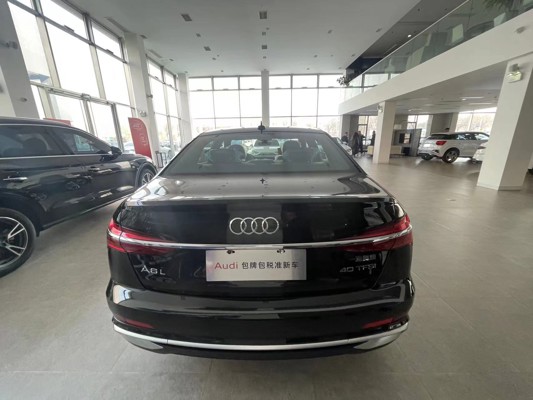 奥迪 2023款奥迪A6L40 TFSI 豪华动感型正后